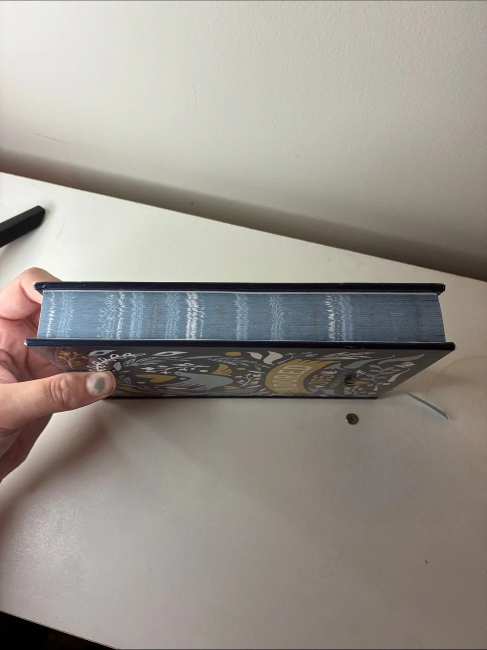 Adored 365 Devotions for Young Women